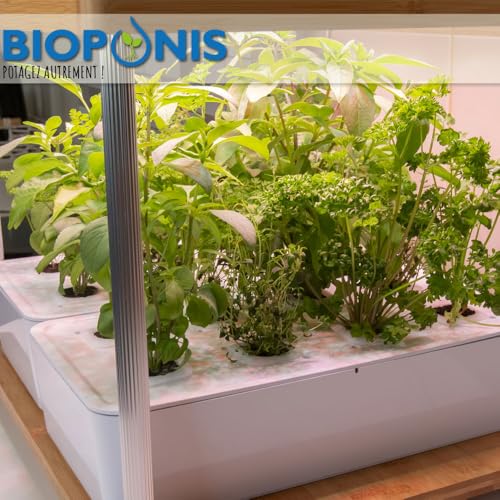 Bioponis   Bamboo 2   Orto da Interno Idroponica per Piante Aromatiche   16 Piazzole di Coltivazione : Amazon.it: Giardino e giardinaggio