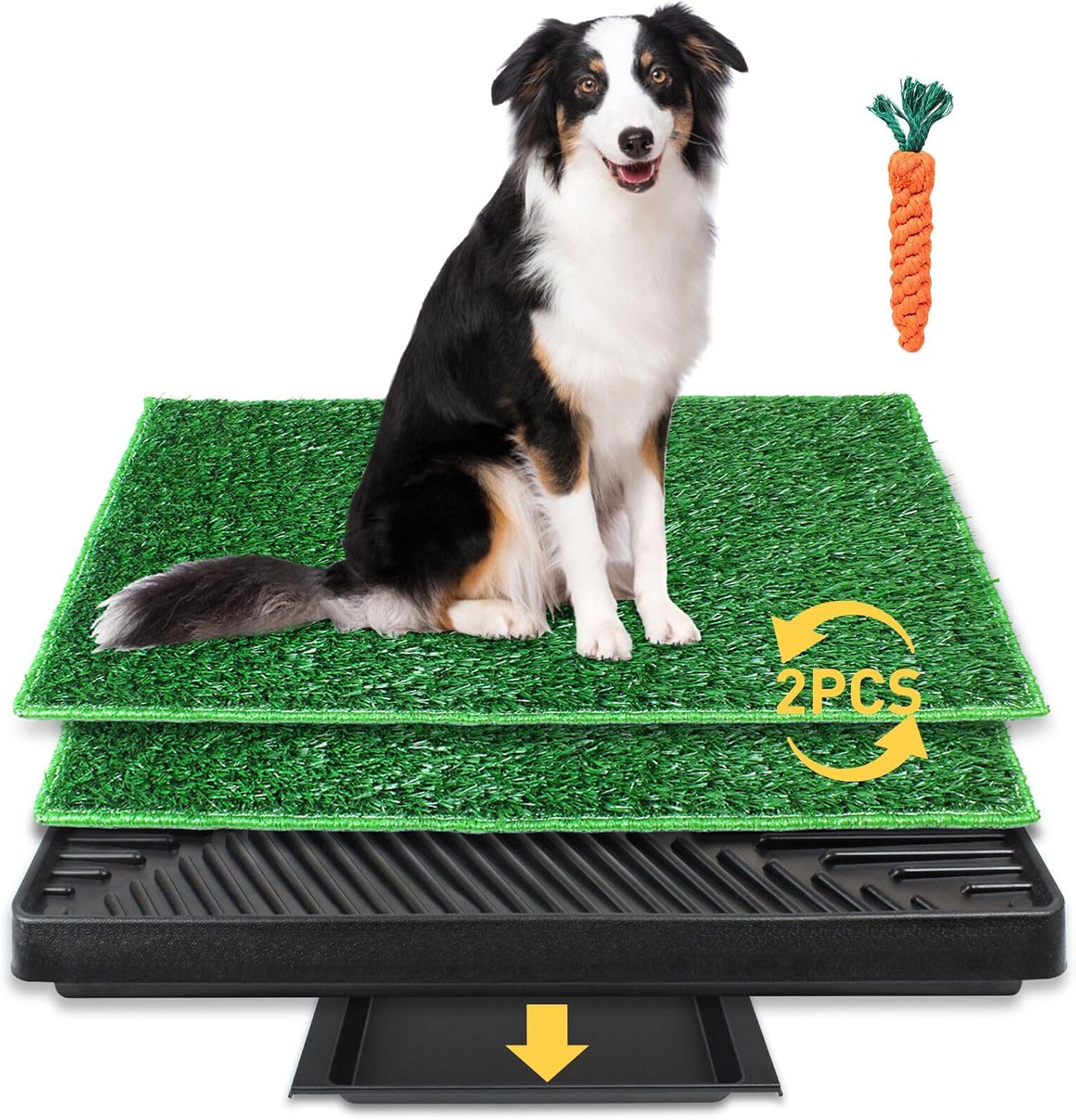 BRIAN & DANY 76 x 51cm Lettiera per Cani e Gatti per Addestramento, Doppio Tappetino di Erba Artificiale e Raccoglitore per Casa ed Esterni