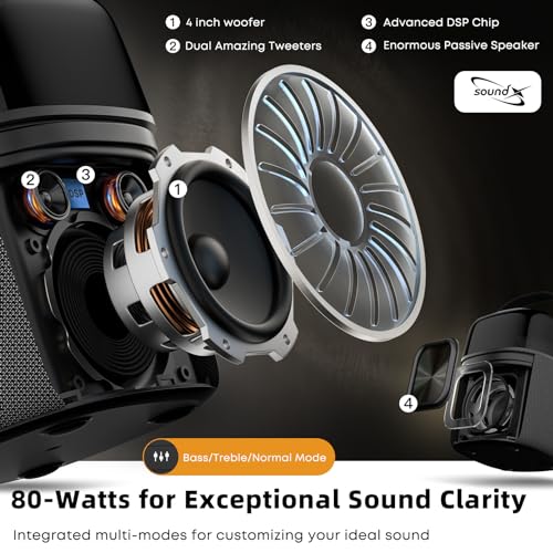 StageSound Macchina karaoke, altoparlante Bluetooth portatile con 2 microfono wireless, sistema PA con modalità vocale e luci LED integrate per adulti e bambini, supporta FM/AUX/USB/6,35 mm : Strumenti Musicali