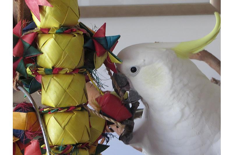 Bird Tower Pinata