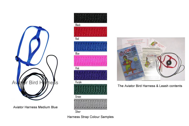 Aviator Harness & Leash - XX-Large