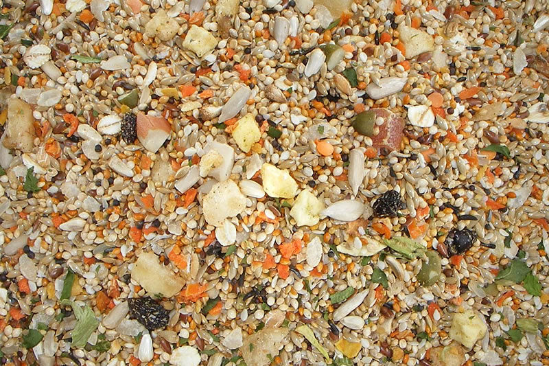 Birdzone Budgie Blend