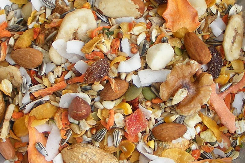 Birdzone Large Parrot Blend