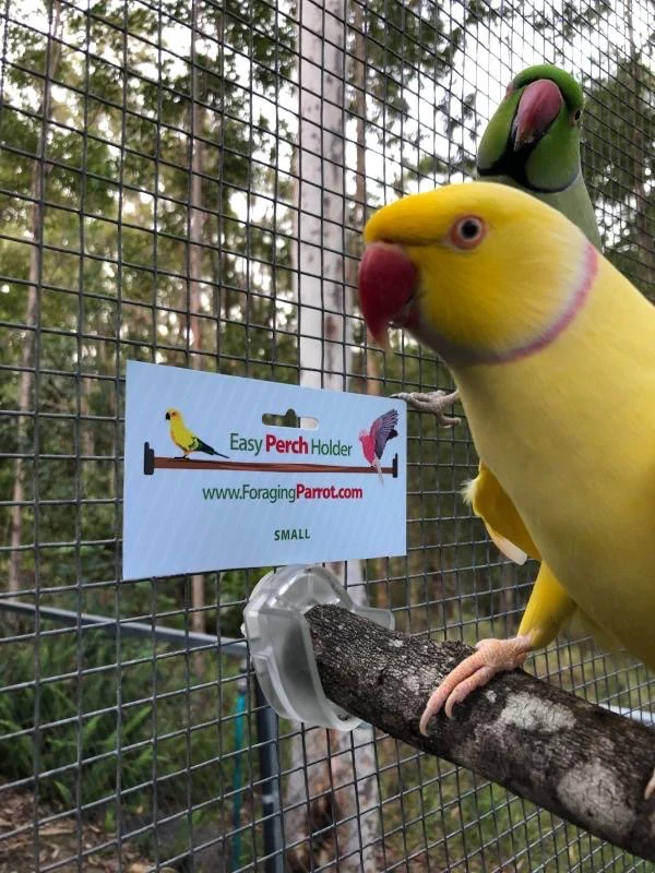 Easy Perch Holder - Small