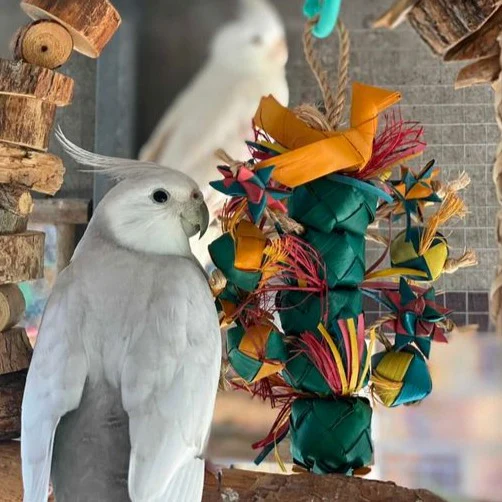 Bird Tower Pinata