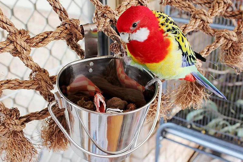 Bucket Stainless Steel