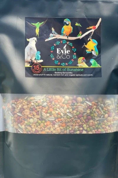 A Little Bit of Sunshine - Sprout mix