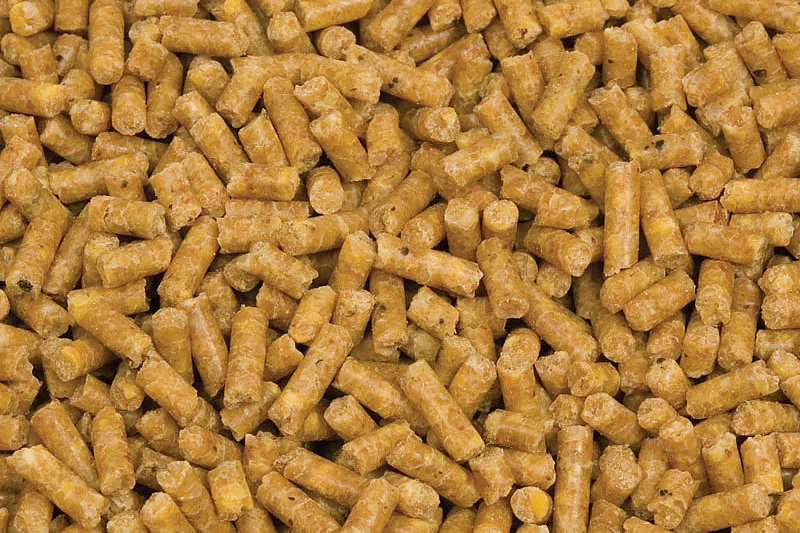 Murphy's Daily Maintenance Pellets Small
