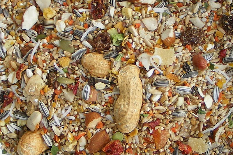 Birdzone Conure & Quaker Blend