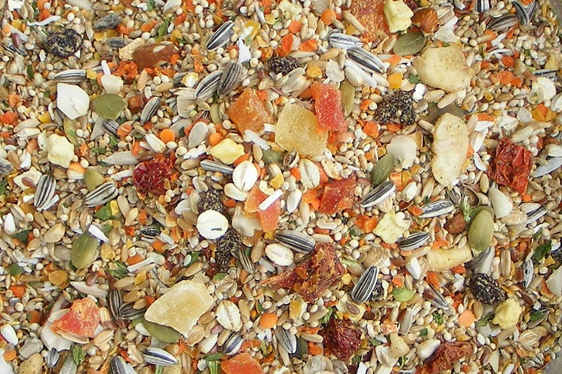 Birdzone Small Parrot Blend