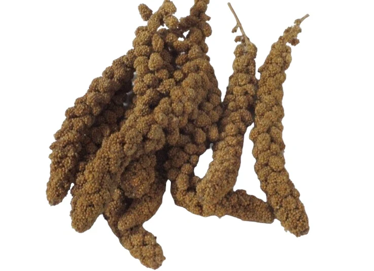 Panorama Millet Spray