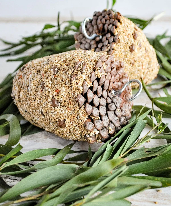 Bird Pinecone Treat