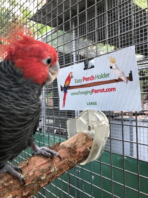 Easy Perch Holder - Large