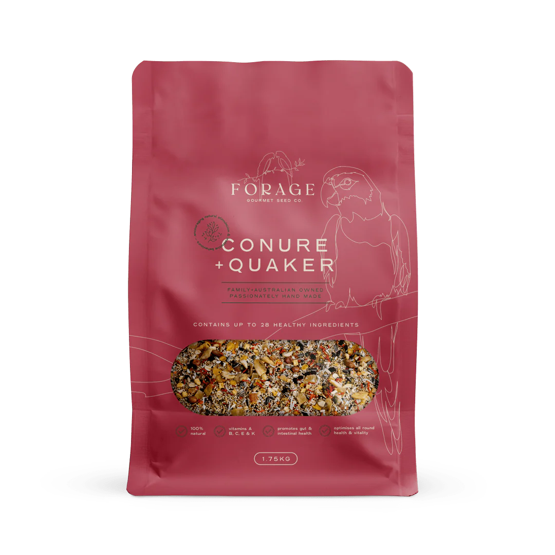 Forage Conure & Quaker Mix
