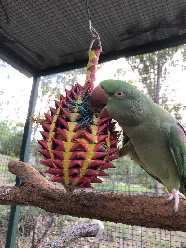 Pineapple Foraging Pinata