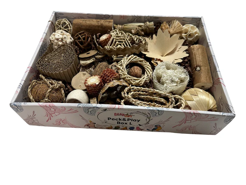 Natural Foraging Box