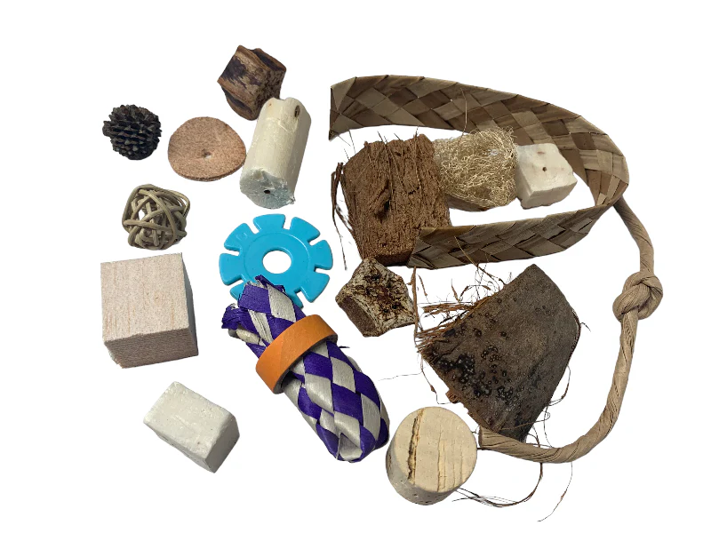 Refill Foraging Toys