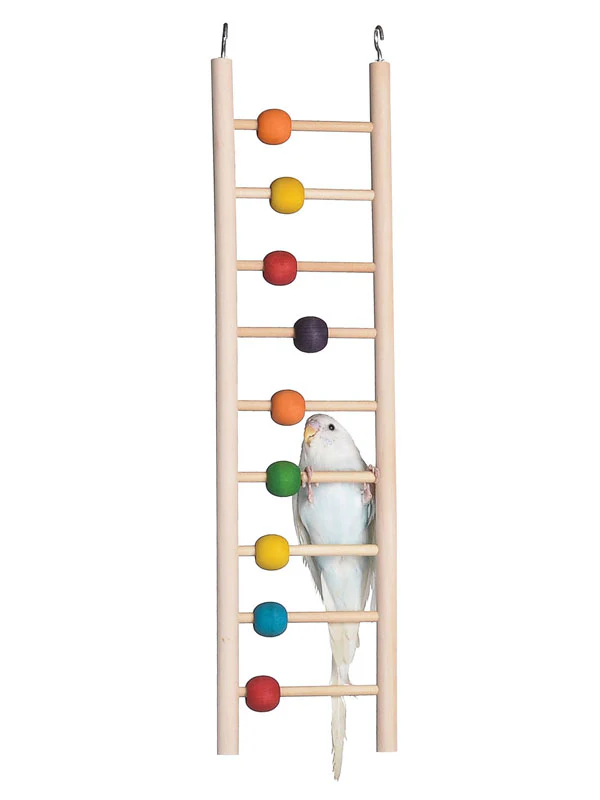 Bird Ladder with Beads