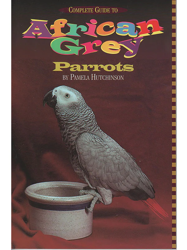 Complete Guide to African Grey Parrots