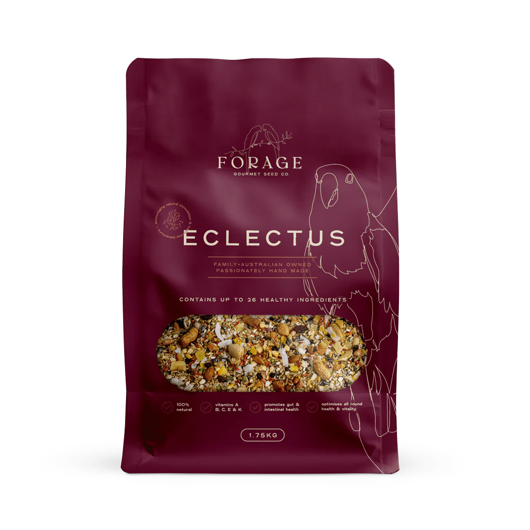 Forage Eclectus Mix