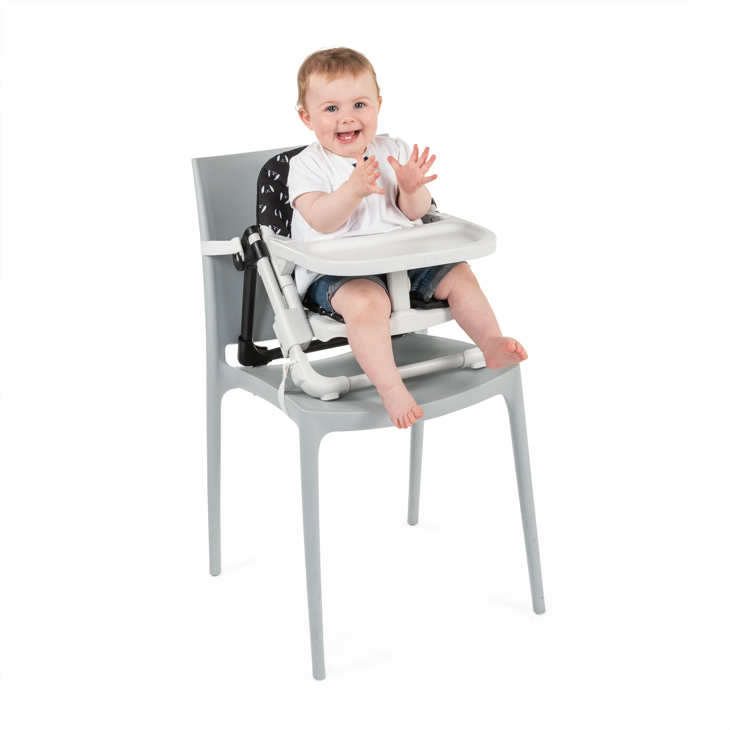 Chicco Chairy Sweetdog