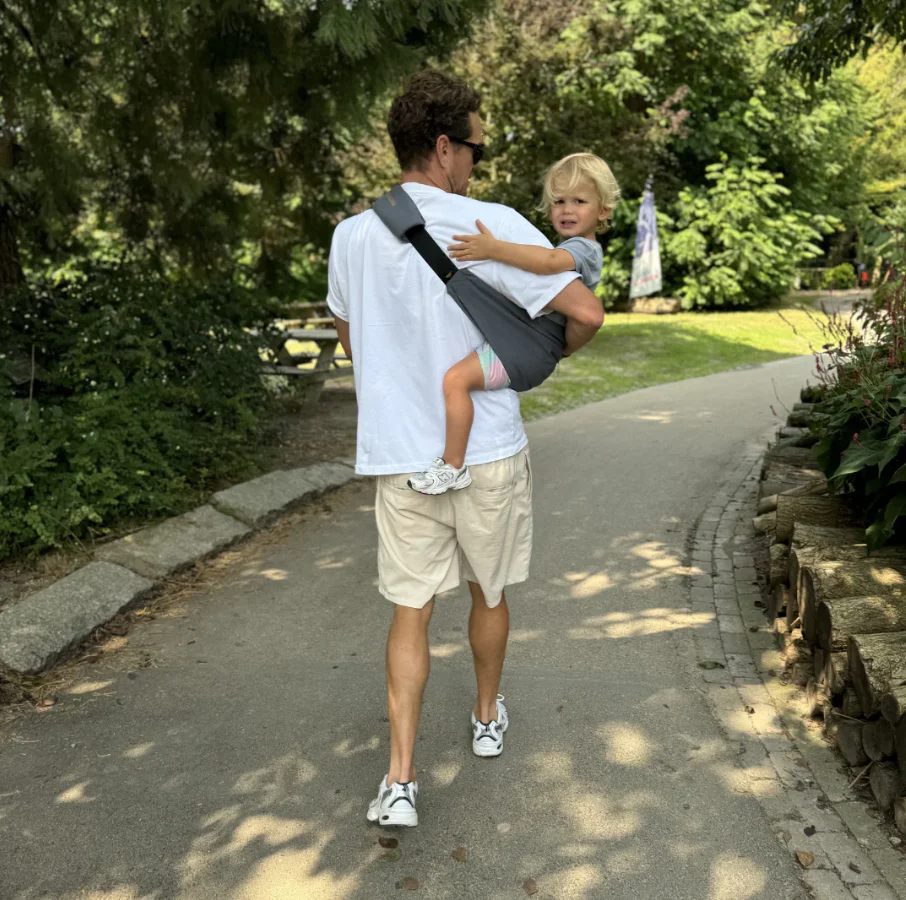 Wildride Toddler Swing Carrier Iron