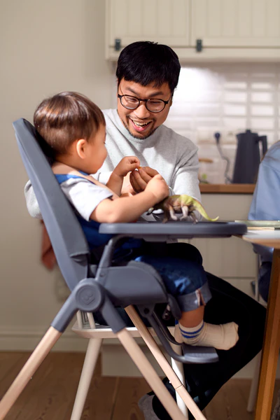 Maxi Cosi Ava Beyond Graphite Eco