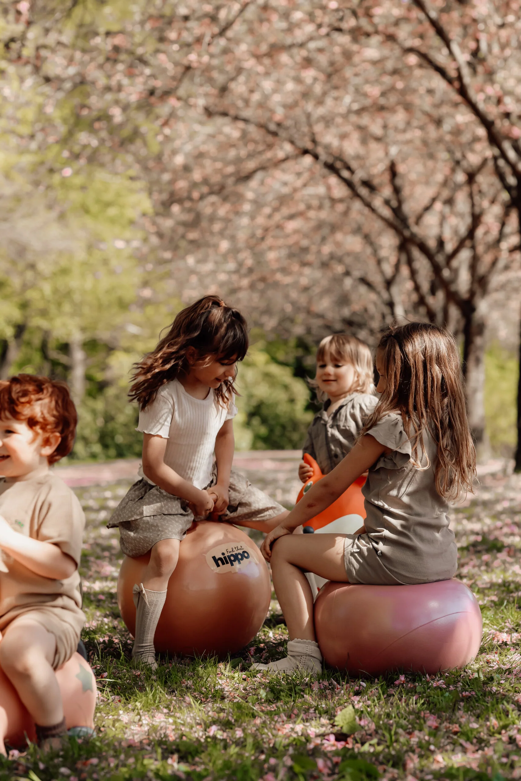 Find That Hippo Bola Saltitante Rosa