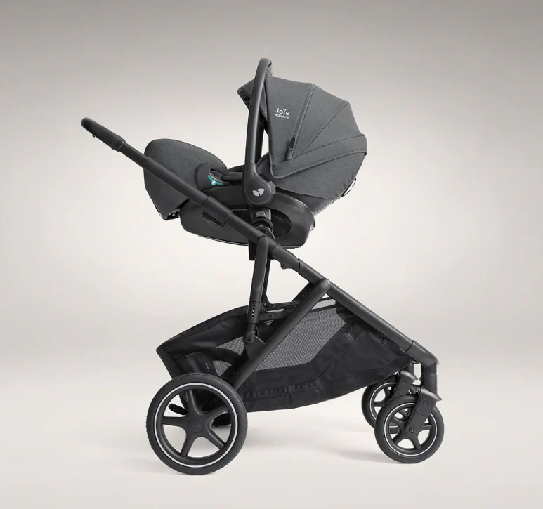 Joie Signature Versiti Ebony