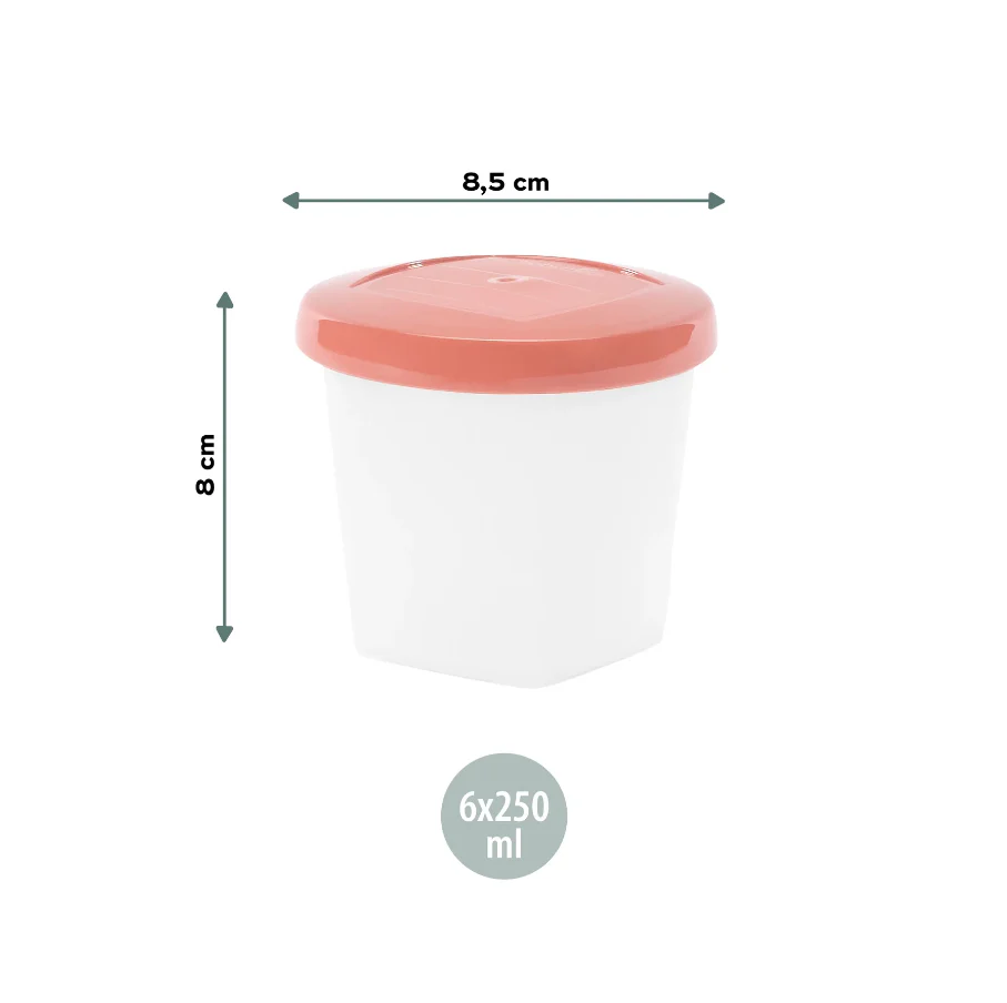 Babymoov Babybols Bio-Based - Conjunto 6 Recipientes 250 ml