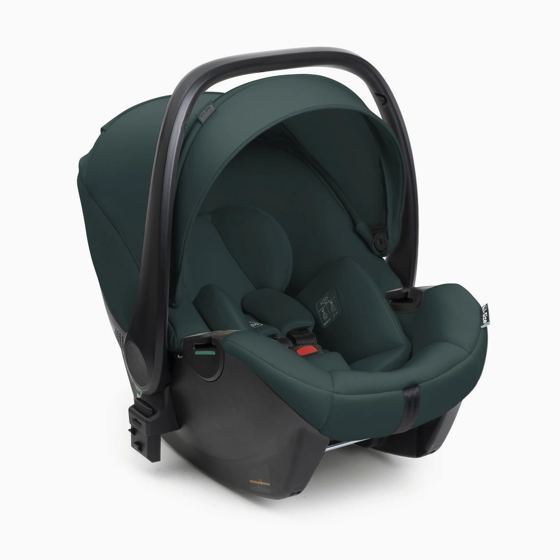 Chicco Kory Plus i Size Fir Tree