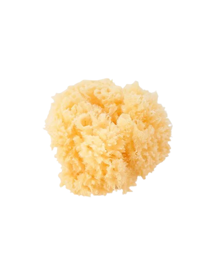 Saro Esponja Natural