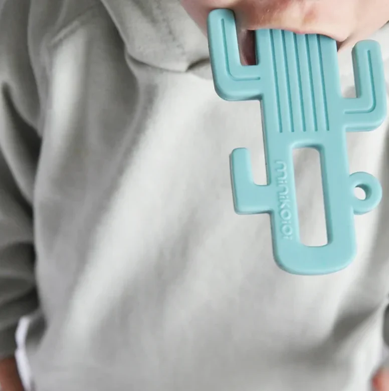 Minikoioi Mordedor Cactus Amarelo