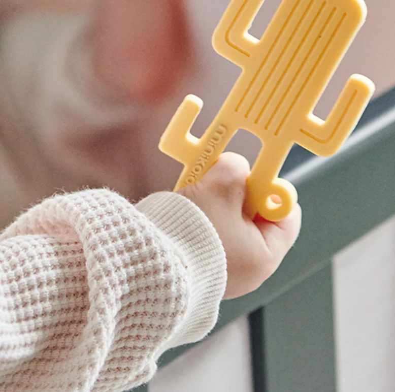 Minikoioi Mordedor Cactus Amarelo