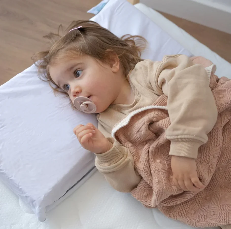 Ecus Almofada Malva 65 cm