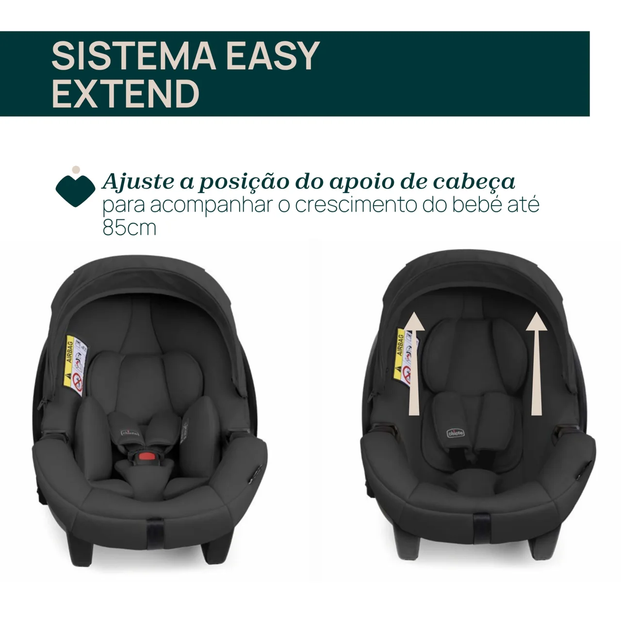 Chicco Kory Plus i Size Fir Tree