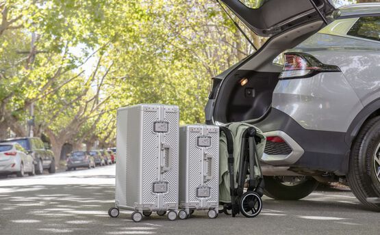 Britax Romer Flylite Teak