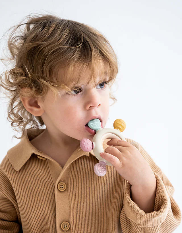 Saro Mordedor Sensorial