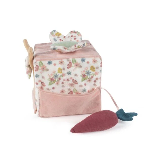 Pasito a Pasito Cubo actividades Coelho Garden