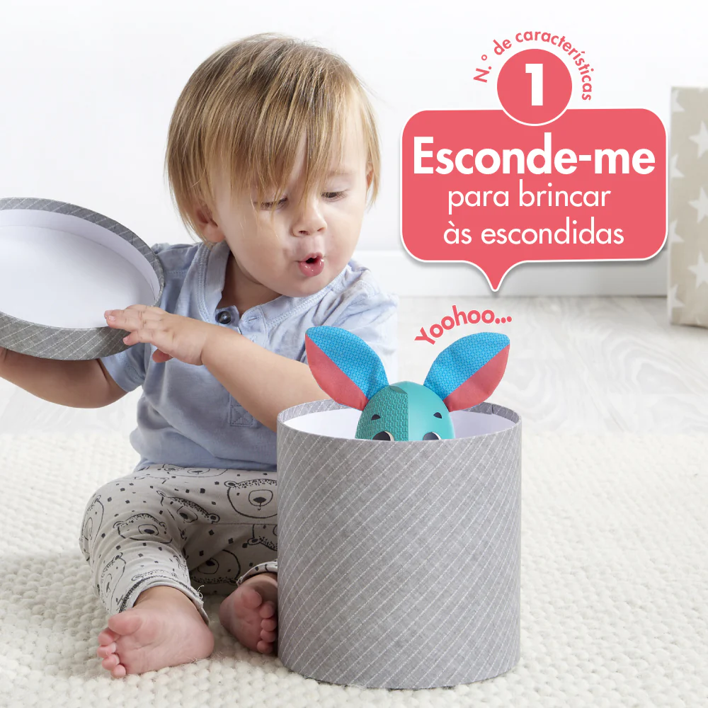 Tiny Love Wonder Buddies Leonardo