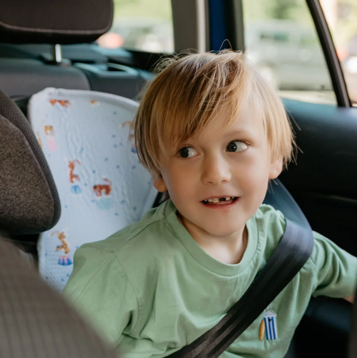 Aeromoov Air Layer Grrupo 2/3 Circus Tiger