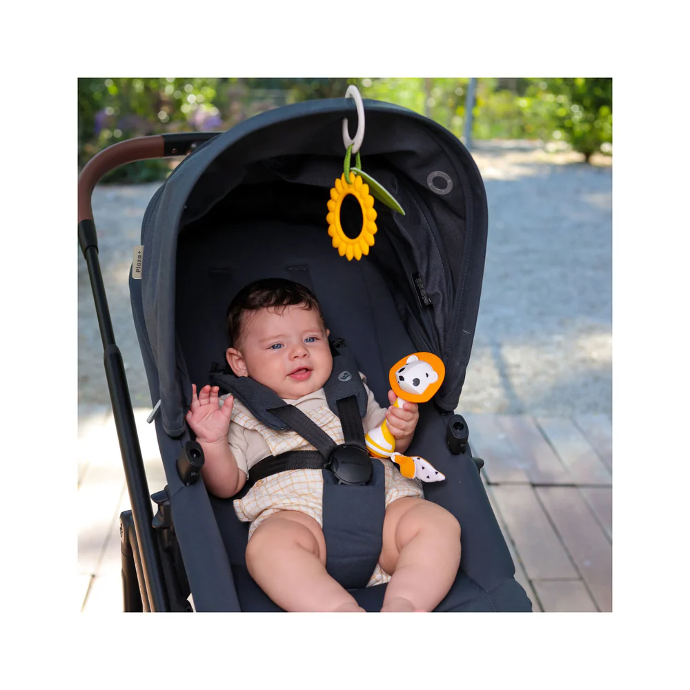 Tiny Love Set Presente Meadow Days