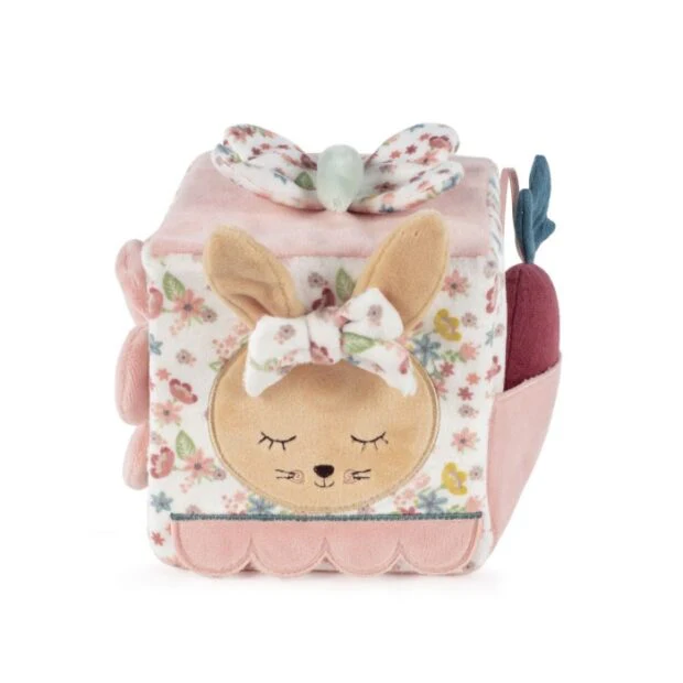 Pasito a Pasito Cubo actividades Coelho Garden