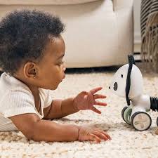 Tiny Love Brinquedo Rolante Black & White