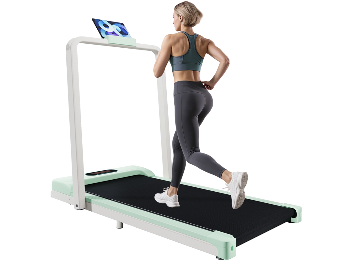 Passadeira 2 Em 1 Para Uso Doméstico, Com Comando E Coluna Bluetooth.