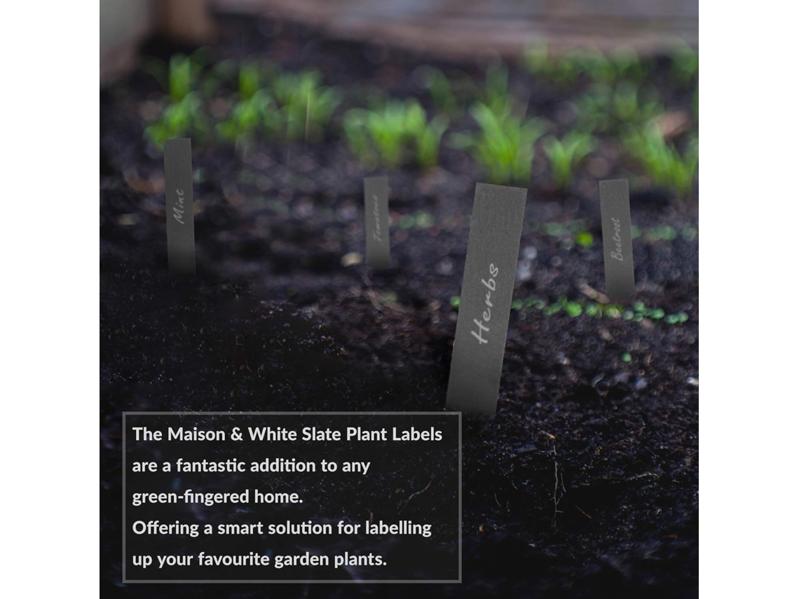 20 Etiquetas de Plantas em Ardósia Marcadores de Jardim