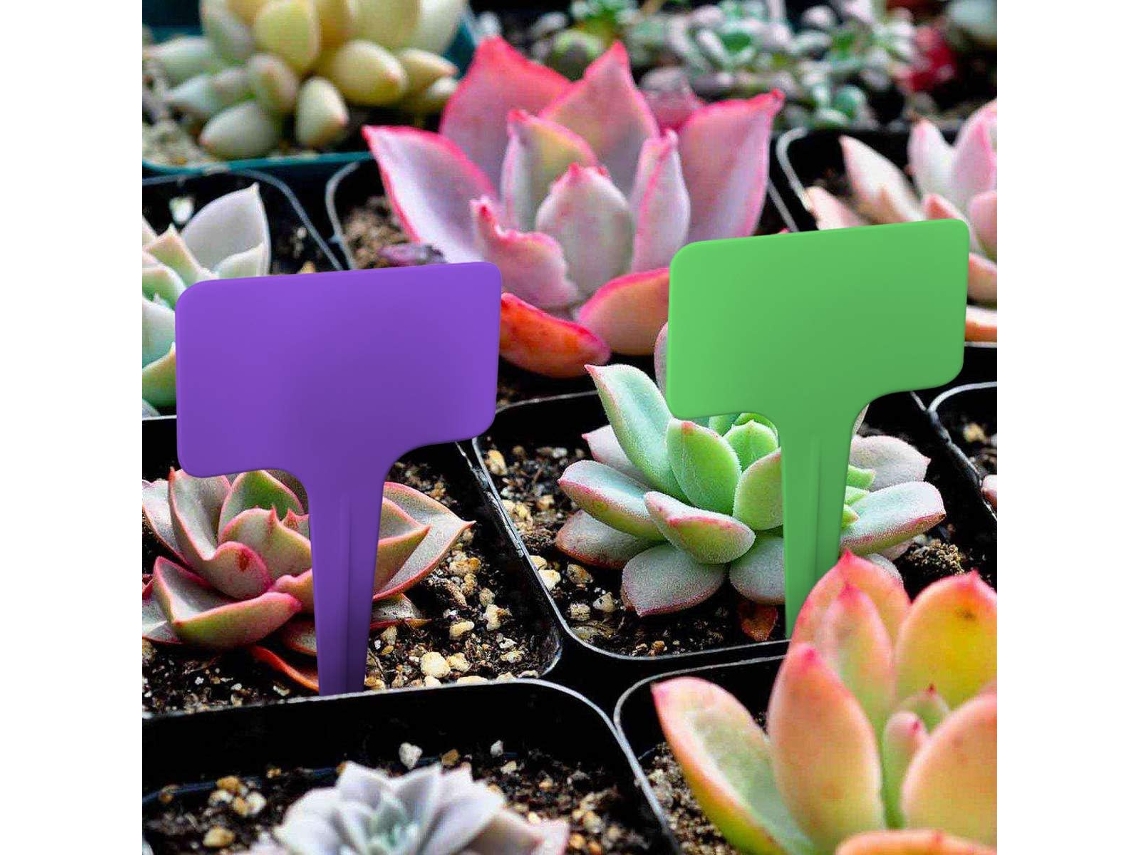100 Peças de Rótulos de Plantas de Plástico