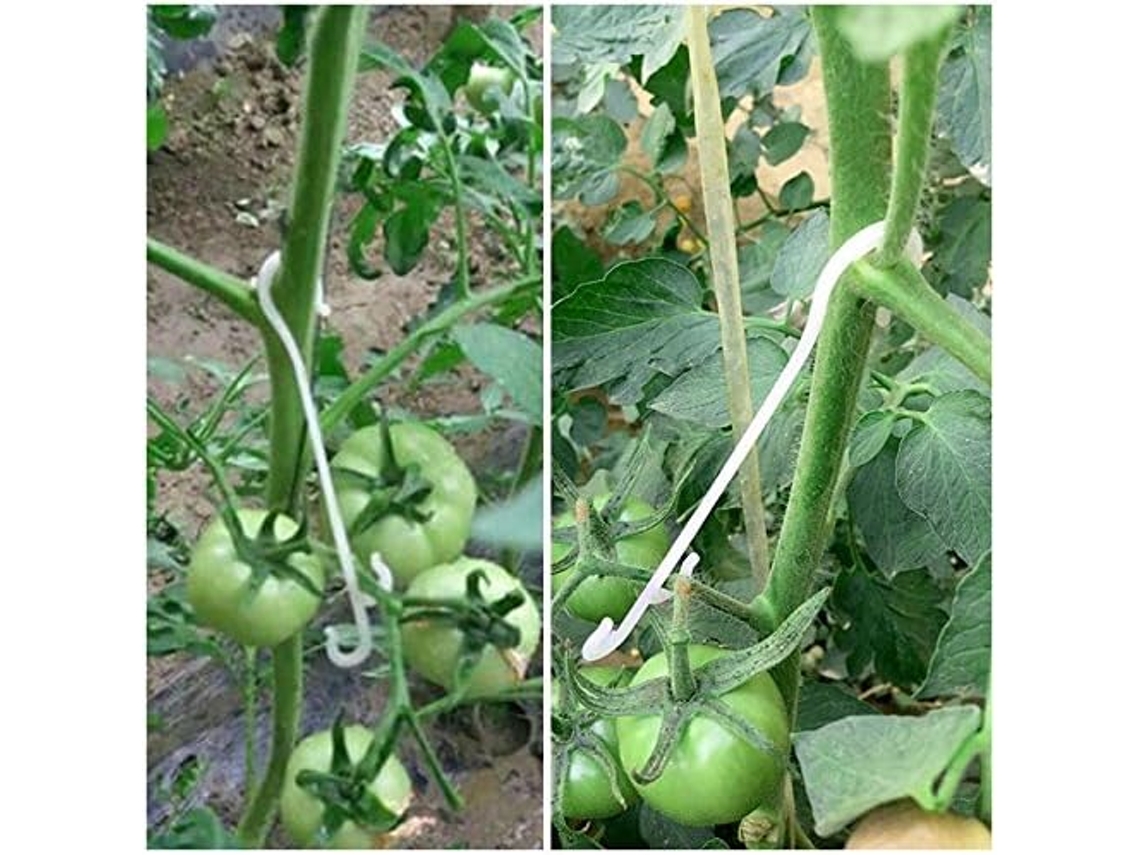 Clip de Bambu 100Pcs 1Kg 13Cm Branco Ferramenta de Jardim