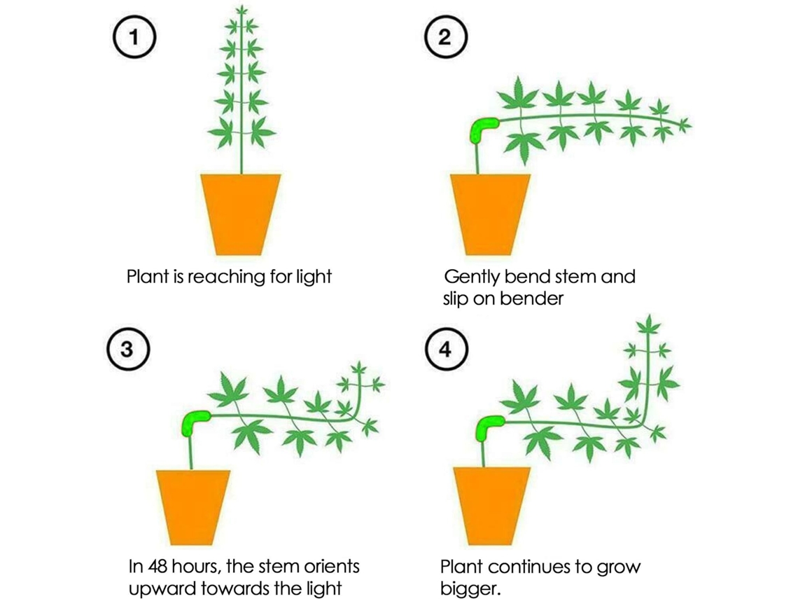 Ferramentas de Jardinagem 30 Peças Auxiliar de Plantas Verde