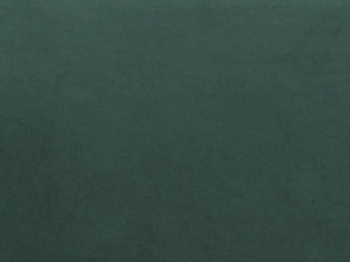 Sofá Cama Calife VENTE-UNIQUE (Verde Pinho - Tecido e Veludo - 150x94x85 cm/Dimensões da cama: 120 – 139 cm)